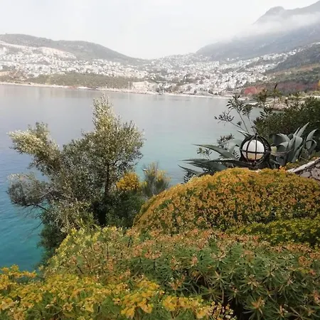 Private Pool In Nature-wisterya Villa